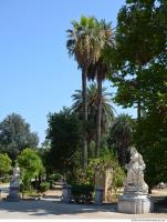 Photo Reference of Background Garden Palermo 0002